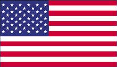 US flag status icon