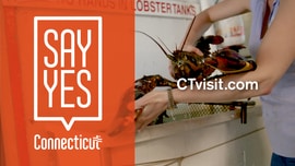 Say Yes to Connecticut
