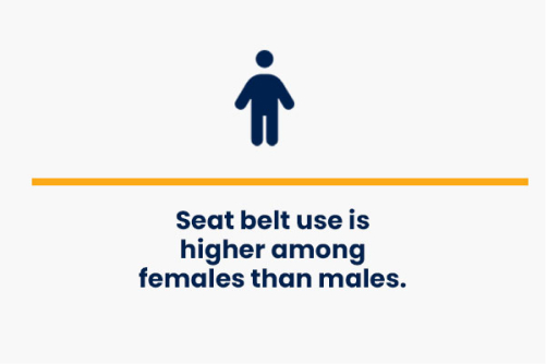 seat belt use is higher among females than males