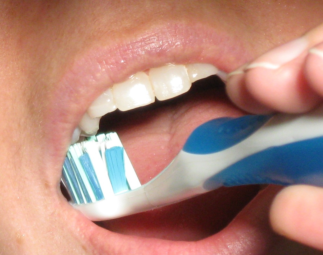 toothbrushing chewing areas