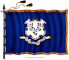 CT Flag