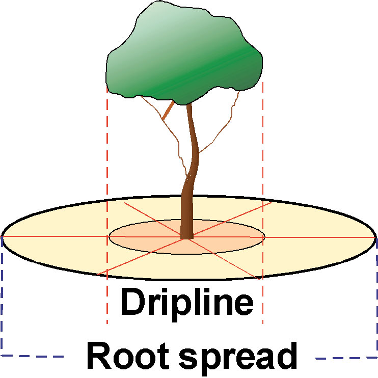 Image of Drip Line Root Spread