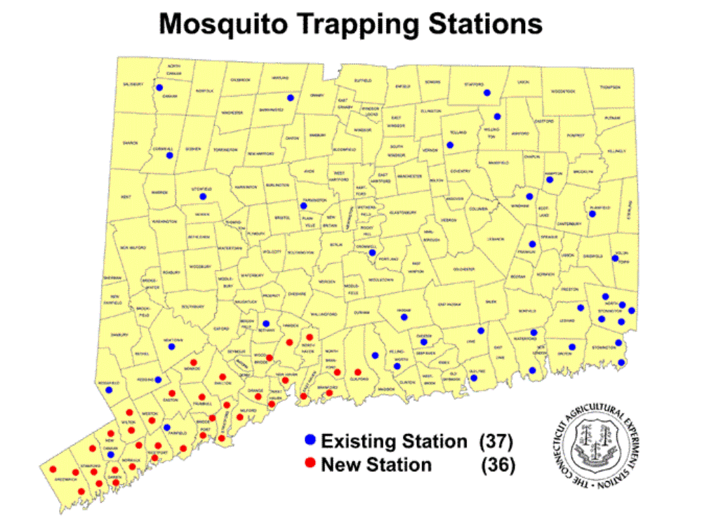 Moasquito Map 2000