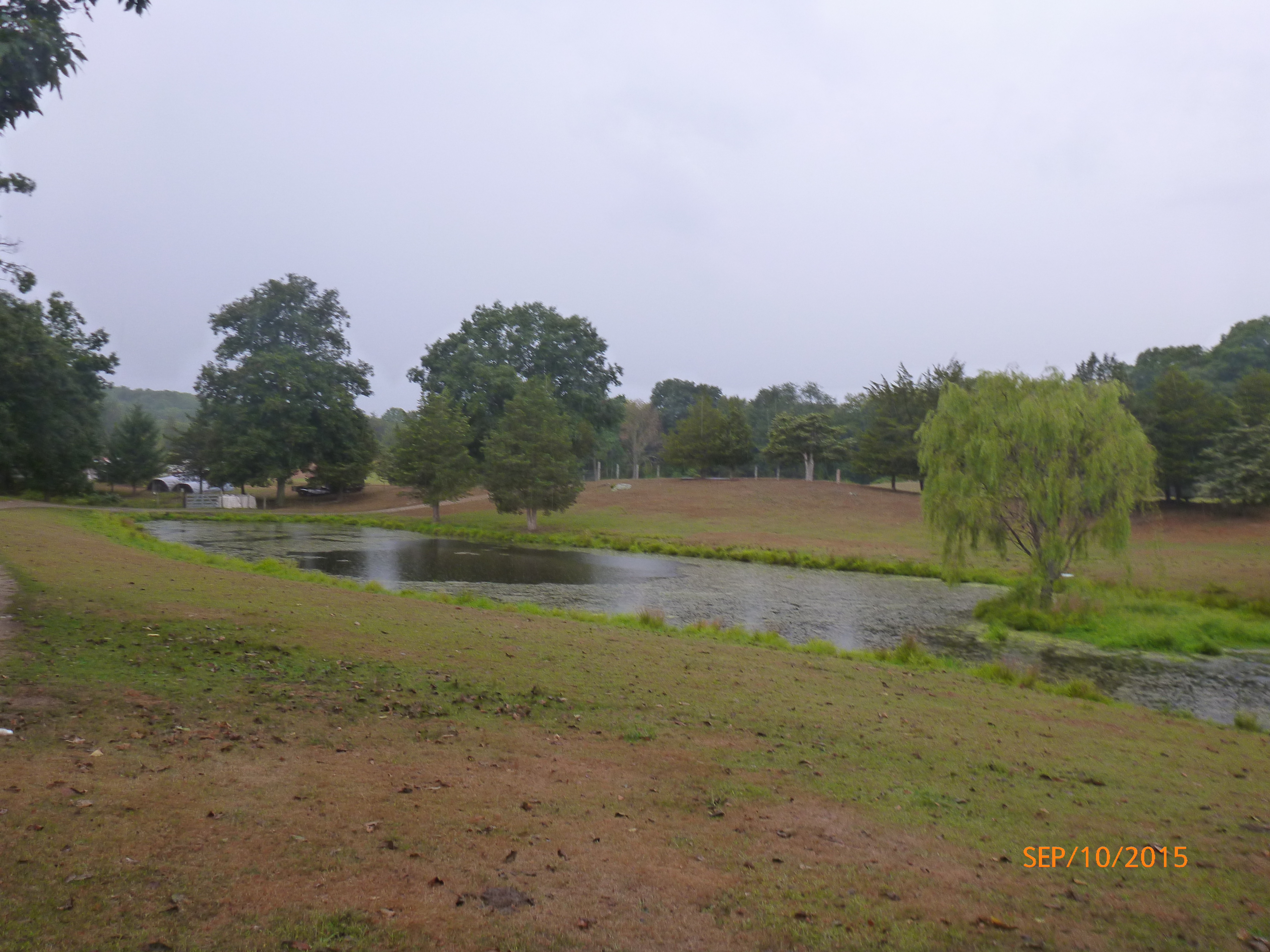 Bmilk Farm Pond