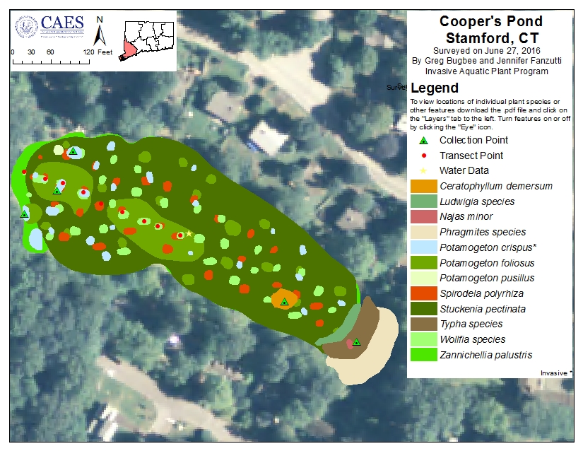 Cooper's Pond Survey 2016