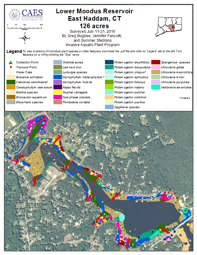 Lower Moodus Reservoir Survey 2016
