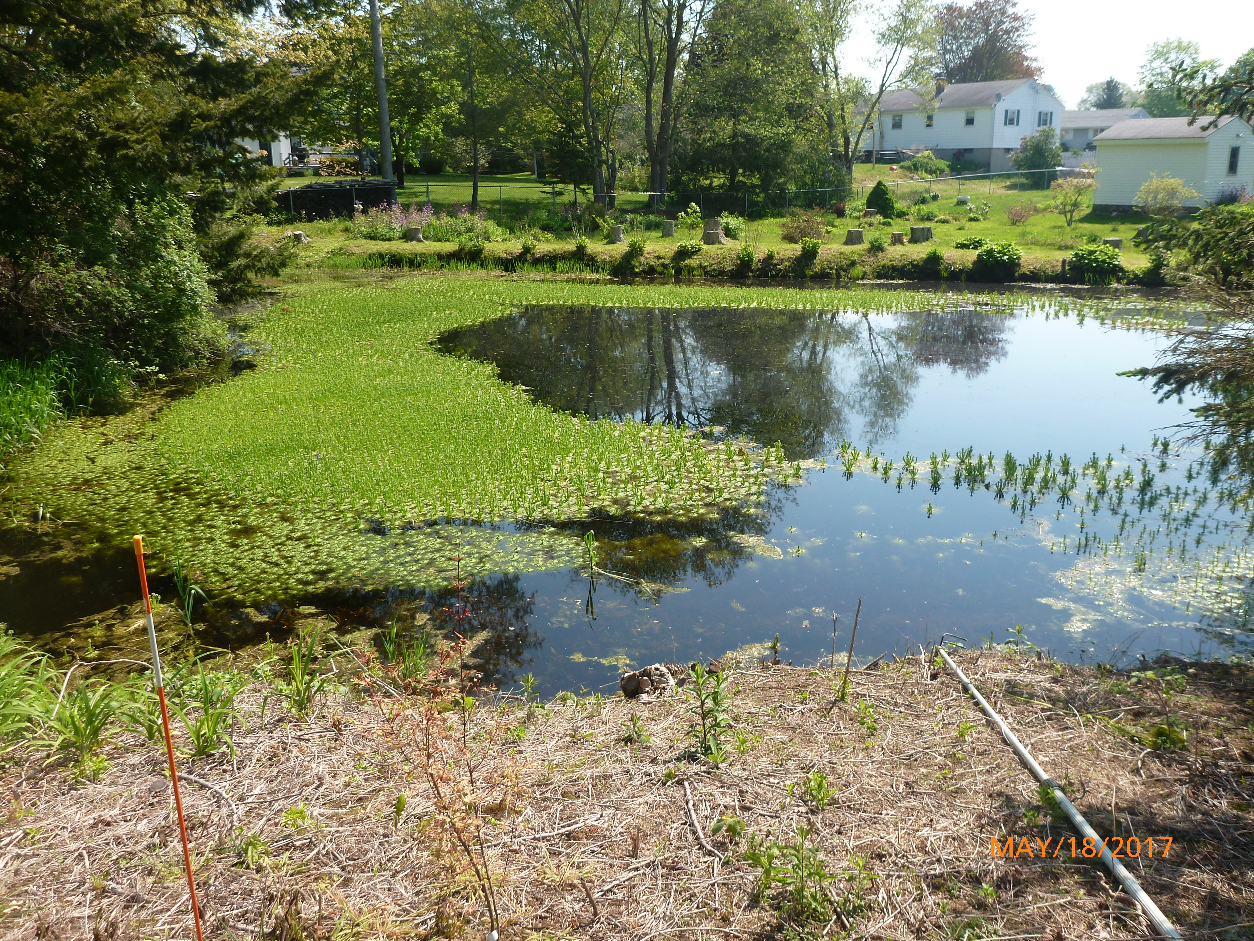 Private Pond, Stonington