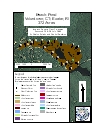 Beach Pond Species Map