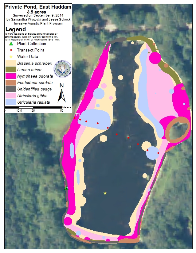 Private Pond, East Haddam