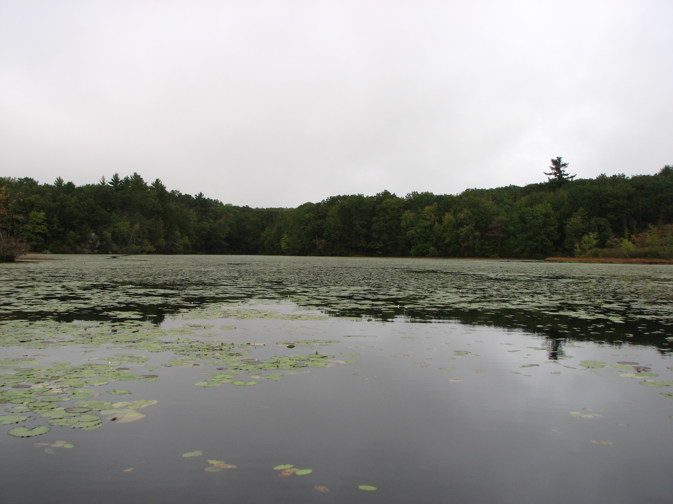 Bolton Notch Pond