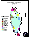 Mystic Seaport Pond Species Map