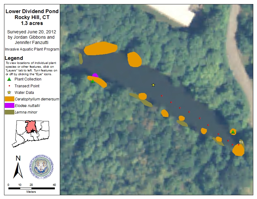 Lower Dividend Pond