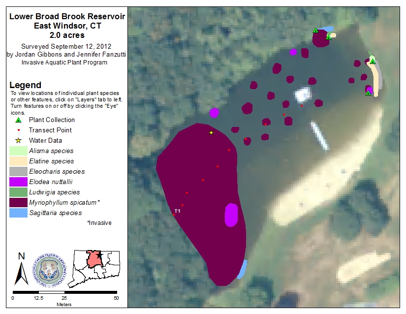 Broad Brook - Lower