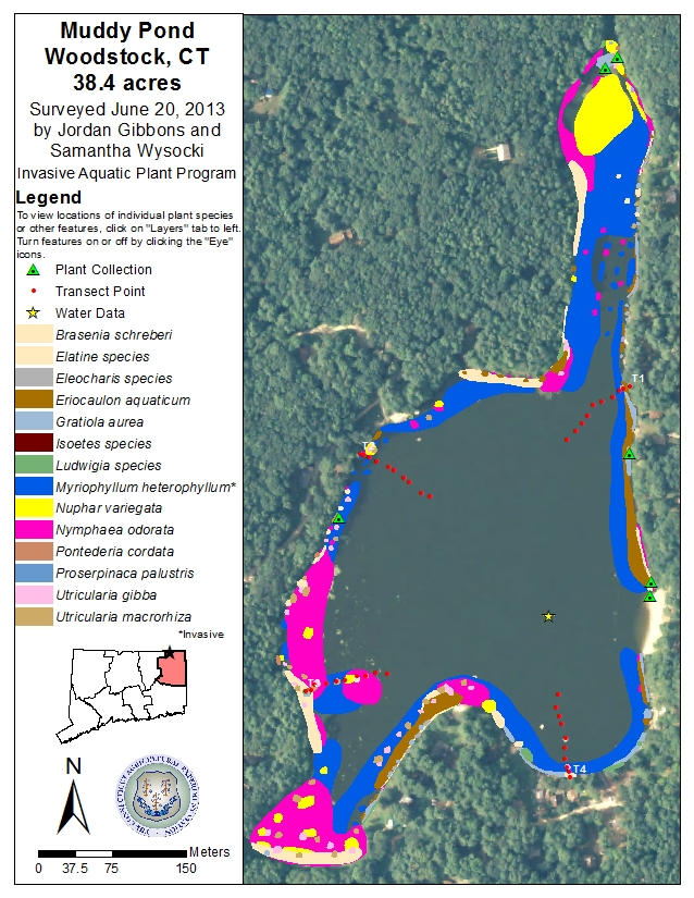 Muddy Pond Map