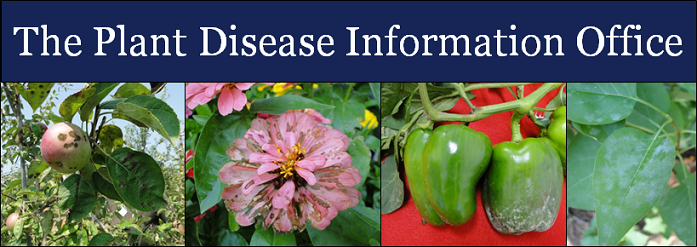 The Plant Disease Information Office