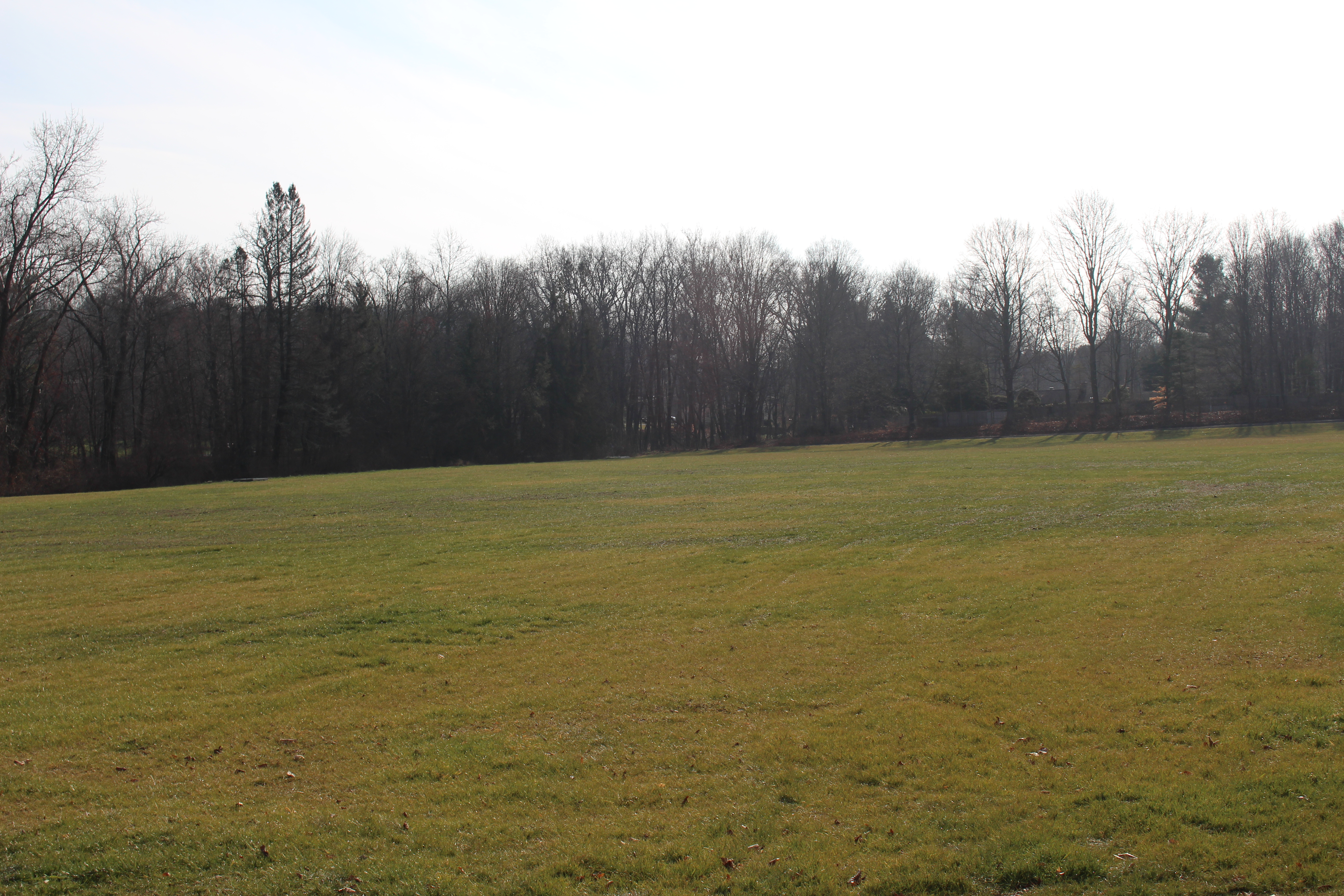 New field where STS Sewage Plant used to stand.