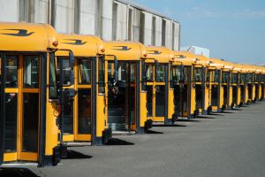 Image of Parked School Buses