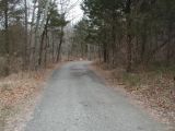 The access road to the Avery Pond boat launch.