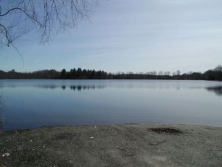 A view from the Avery Pond boat launch.