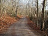 The access road to the Bashan Lake boat launch.