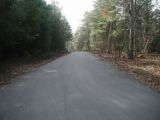 The access road to the Beach Pond boat launch.