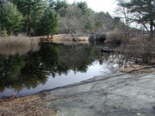 A view from the Beachdale Pond boat launch.