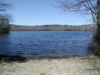 A view from the Black Pond boat launch.
