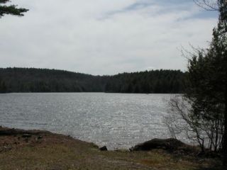 A view from the Burr Pond boat launch.