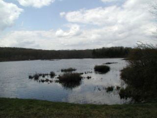 A view from the Hampton Reservoir boat launch.