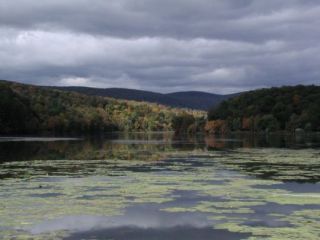 A view from the Hatch Pond boat launch.