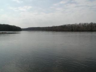 A view from the Kings Island boat launch.