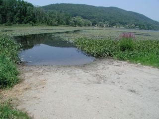 A view from the Mudge Pond boat launch.