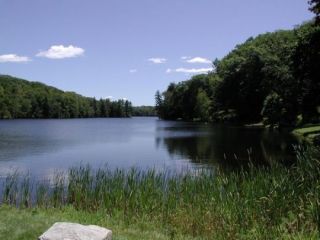 A view from the Park Pond boat launch.