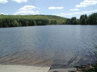 A view from the Stillwater Pond boat launch.