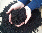 hands holding finished compost