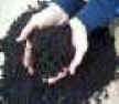 two hands holding finished compost