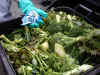 contaminants being removed from food waste