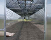 inside view of greenhouse to be
used for a worm composting project