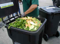 picture of a toter full of vegetable food scraps