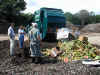 workers inspecting a load of compost