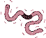 wiggling worm