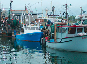 Connecticut Commercial Fishing Vessels at Stonington