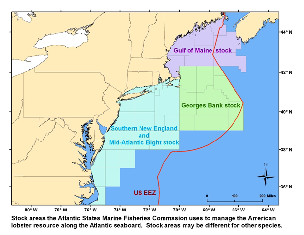 Three marine Fisheries Mangement Areas along Northeast Coast