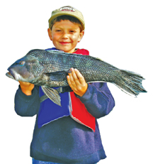 kid holding black sea bass