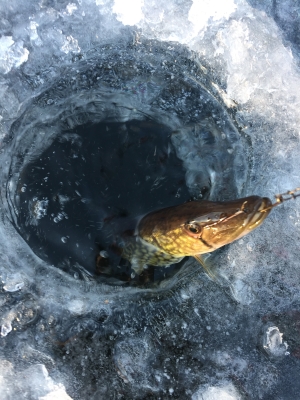 Ice Fishing