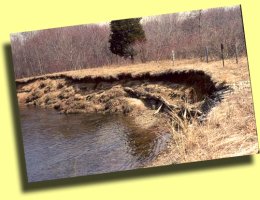 Photo of eroded stream bank