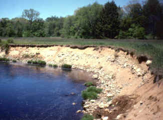 Photo of eroded stream bank