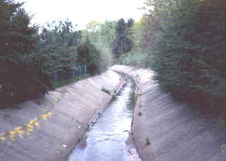 Photo of channelized river
