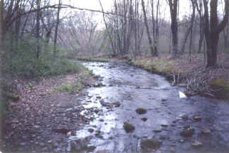 Photo of overwidened stream channel