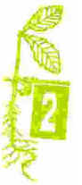CT Forest Letterbox Stamp 2